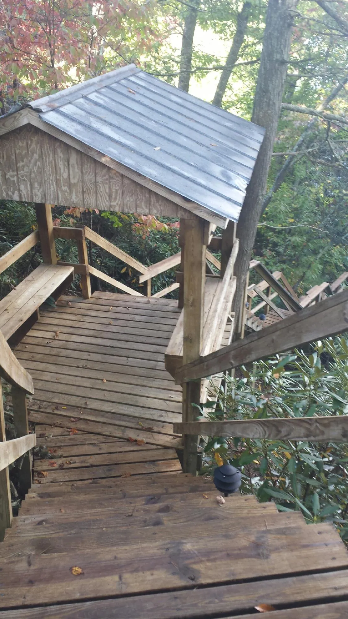 Metal roofed shelter over wooden steps on a wooded walkway — Skylight Repair & Installation work by our crew in Parsonsburg